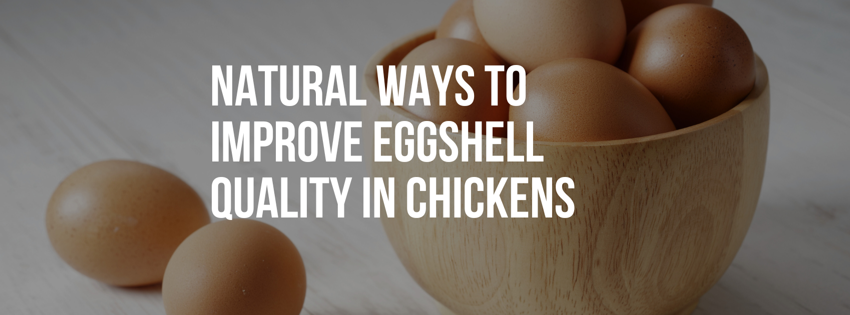 Thumbnail for Natural Ways To Improve Eggshell Quality