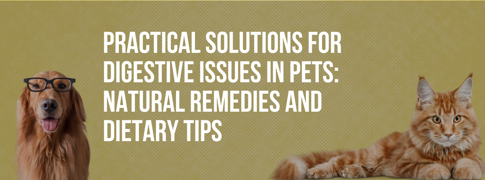 Illustration of Service Animals With Constipation And Digestive Issues