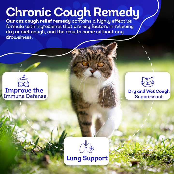 Dry or Wet Cough Formula for Cats, 30-Day Supply