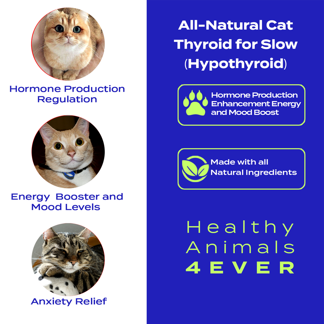 Natural Hypothyroidism Support Formula for Cats, 30-Day Supply