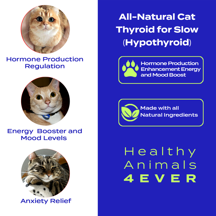 Natural Hypothyroidism Support Formula for Cats, 30-Day Supply