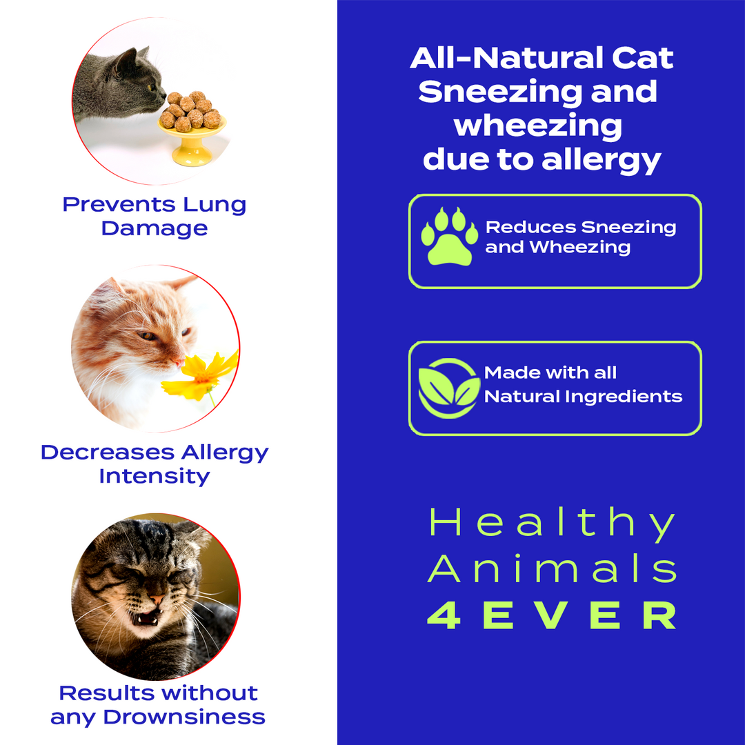 Sneezing and Wheezing Due to Allergy Formula for Cats, 30-Day Supply