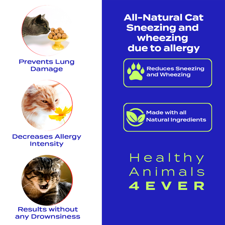 Sneezing and Wheezing Due to Allergy Formula for Cats, 30-Day Supply