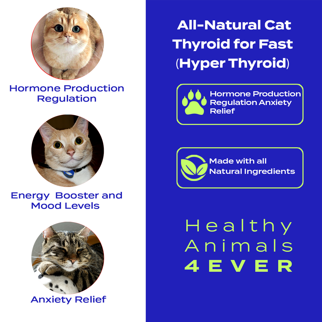 Natural Hyperthyroidism Support Formula for Cats, 30-Day Supply