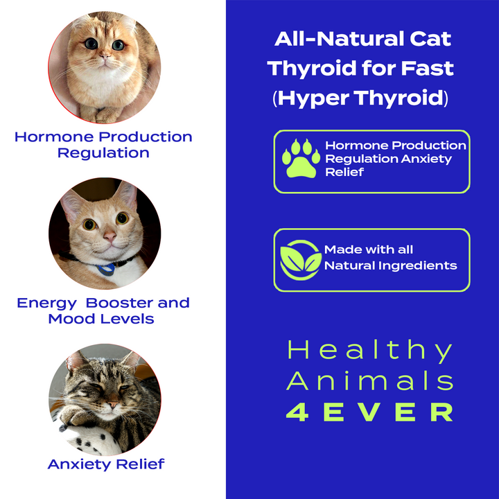 Natural Hyperthyroidism Support Formula for Cats, 30-Day Supply