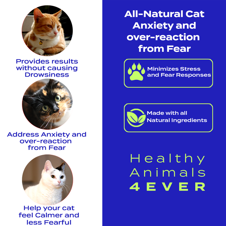 Anxiety and Over-Reaction from Fear Formula for Cats, 30-Day Supply