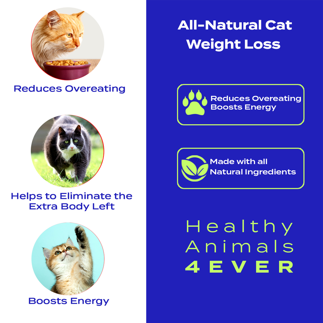 Weight Loss Formula for Cats, 30-Day Supply