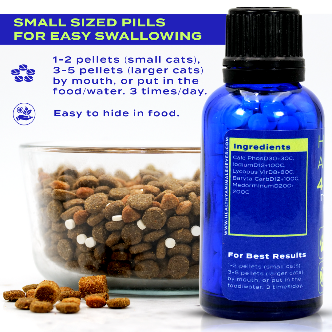 Natural Hypothyroidism Support Formula for Cats, 30-Day Supply
