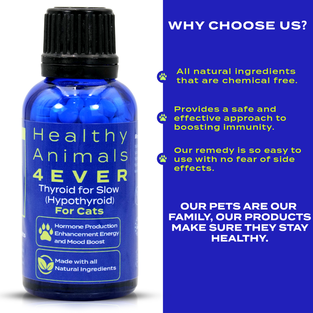 Natural Hypothyroidism Support Formula for Cats, 30-Day Supply