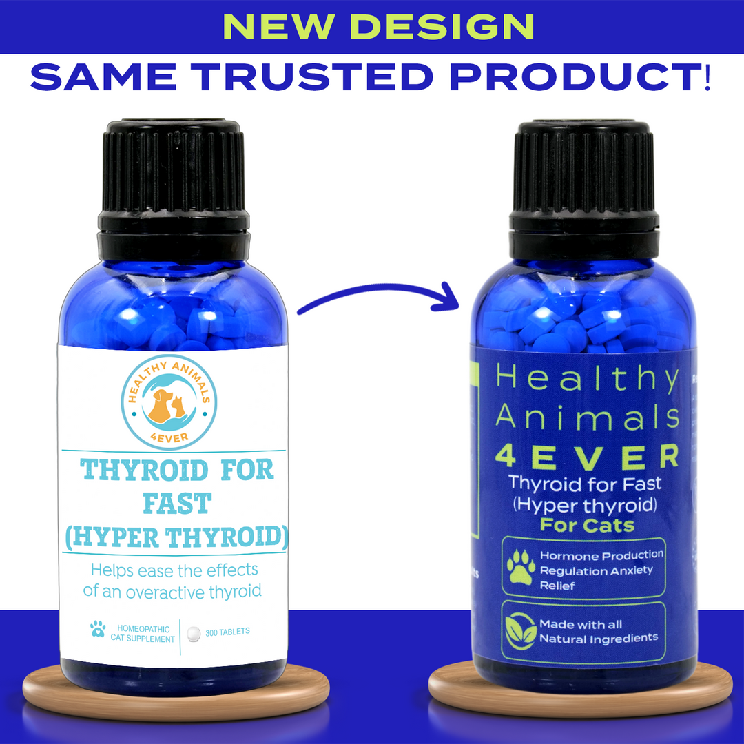 Natural Hyperthyroidism Support Formula for Cats, 30-Day Supply