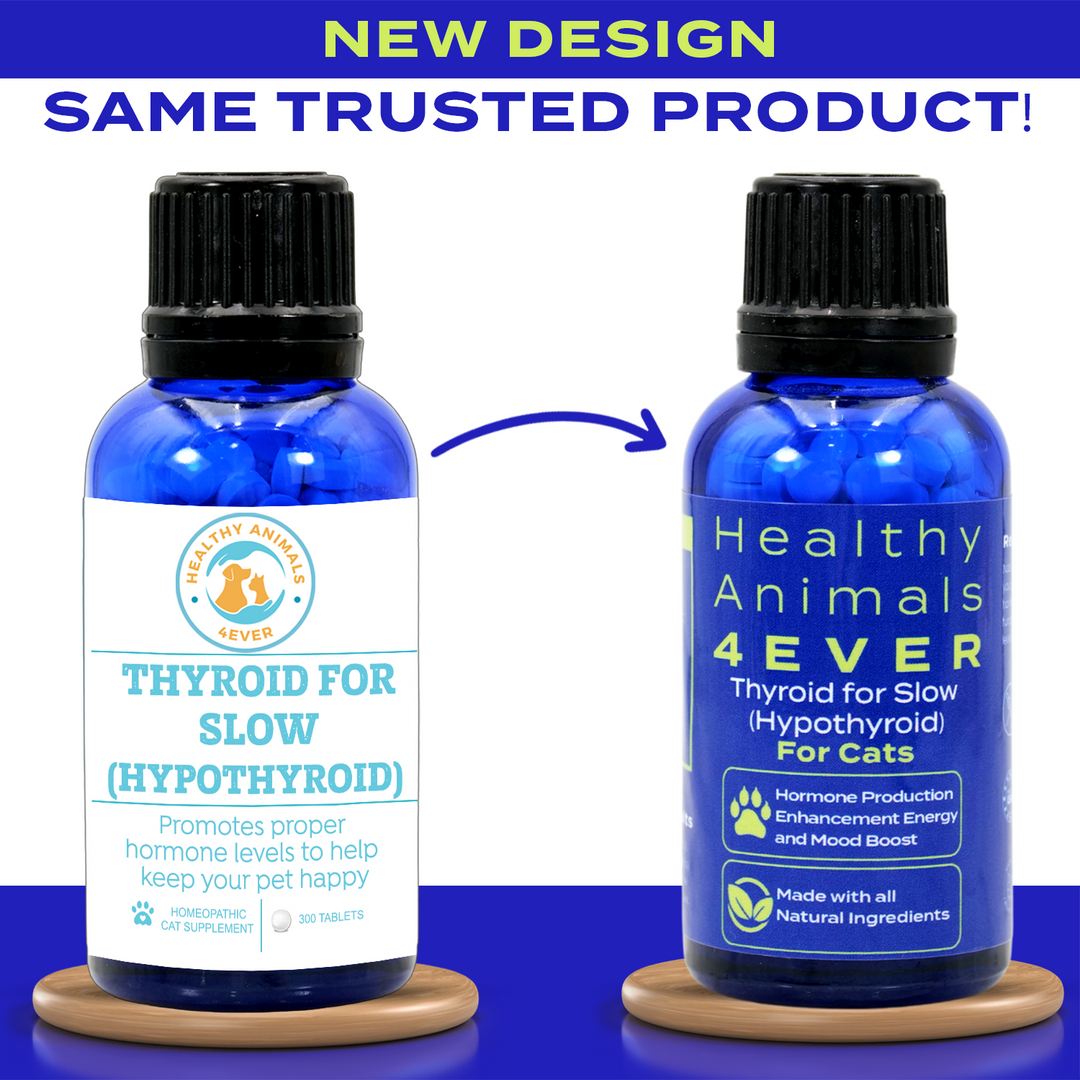 Natural Hypothyroidism Support Formula for Cats, 30-Day Supply