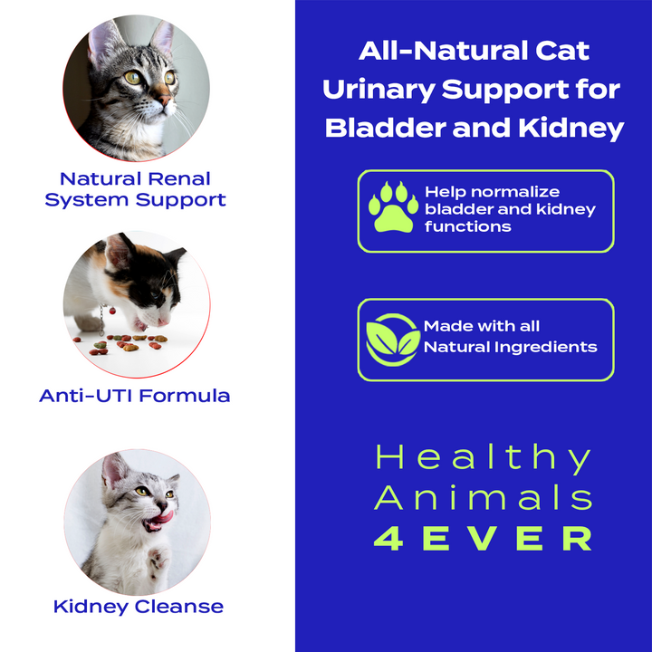 Urinary Support for Bladder and Kidney Formula for Cats, 30-Day Supply