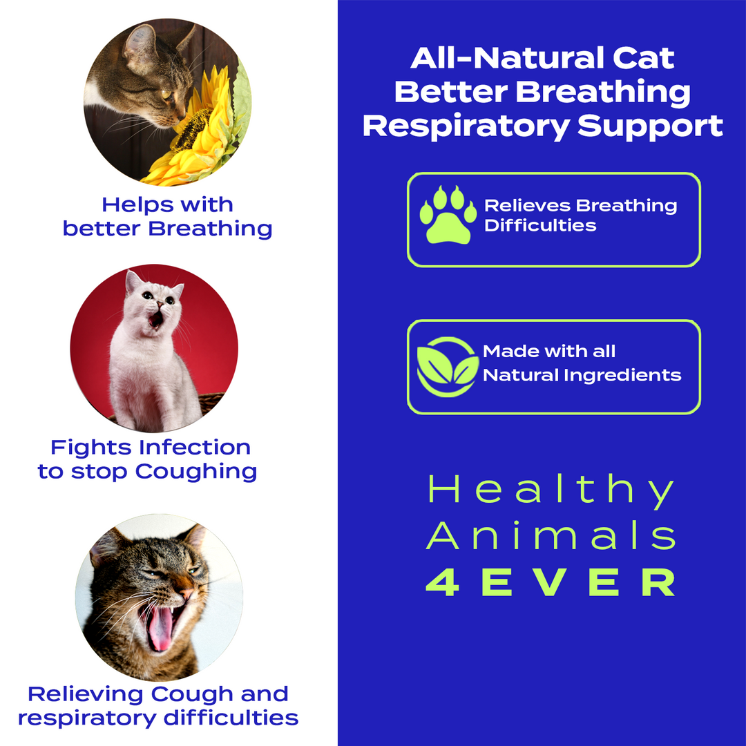 Better Breathing Respiratory Support Formula for Cats, 30-Day Supply