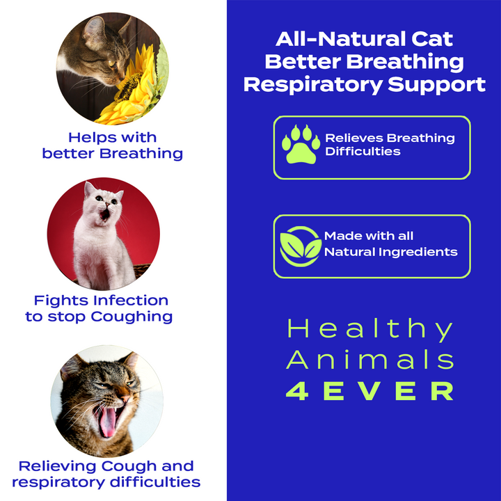 Better Breathing Respiratory Support Formula for Cats, 30-Day Supply