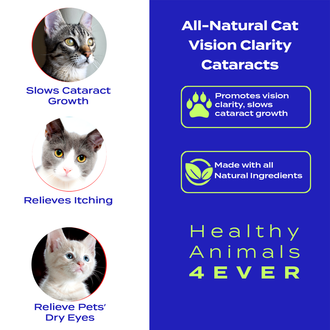 Vision Clarity/Cataracts Support Formula for Cats, 30-Day Supply