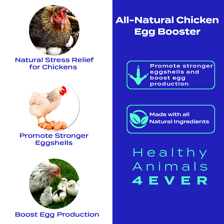 Chicken Egg Booster (Liquid)