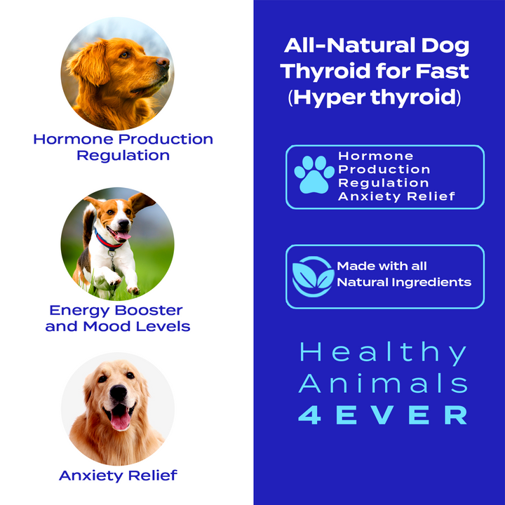 Natural Hyperthyroidism Support Formula for Dogs, 30-Day Supply