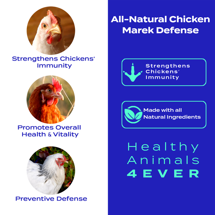 Chicken Immunity Support for Marek's Disease (Liquid)