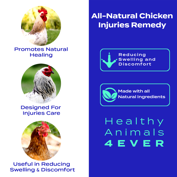 Chicken Injury Support (Liquid)