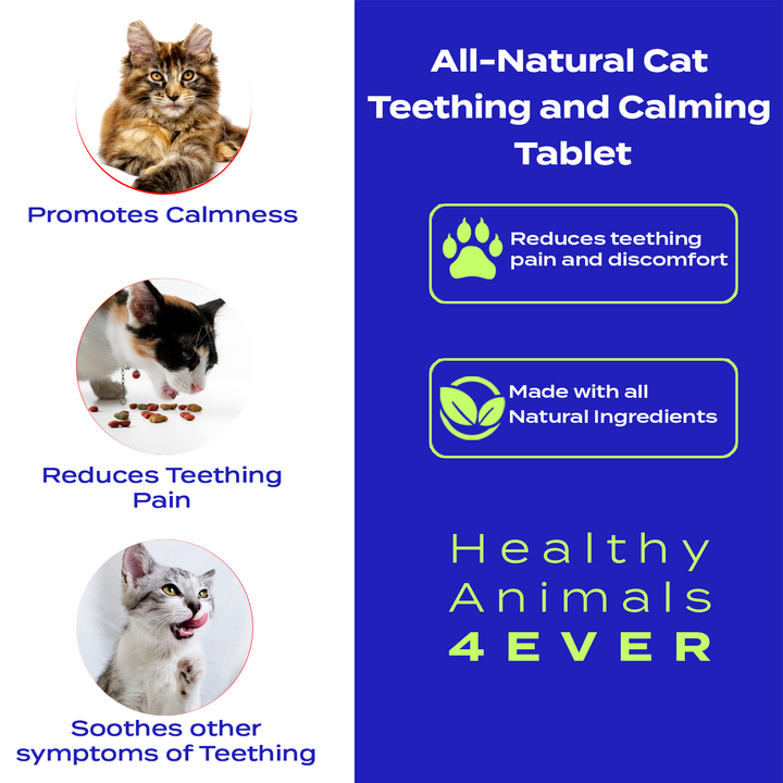 Teething Relief & Calming Formula for Cats, 30-Day Supply