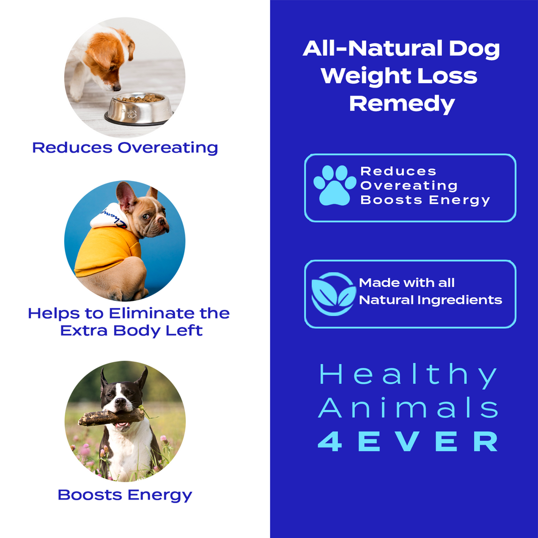Weight Loss Formula for Dogs, 30-Day Supply