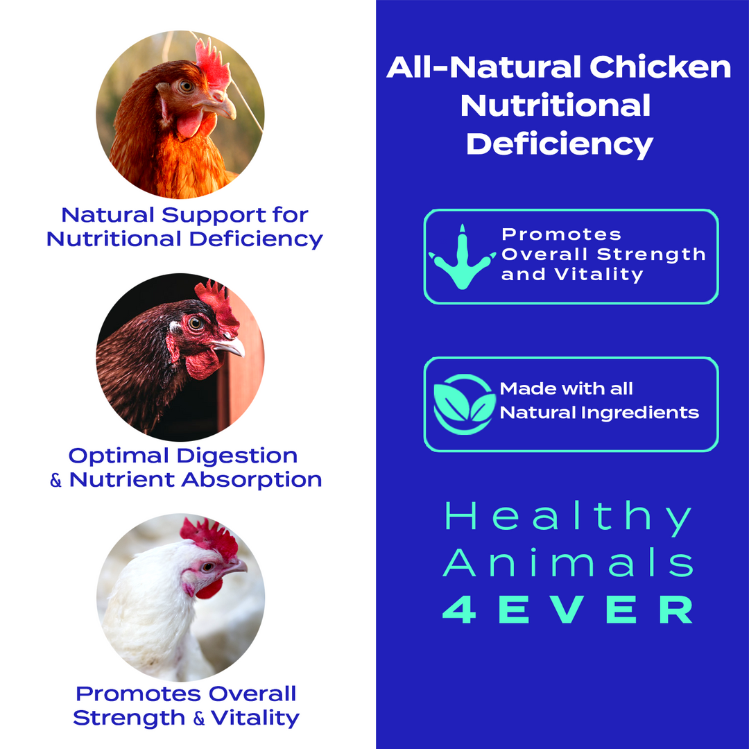 Chicken Nutritional Deficiency Supplement  (Liquid)