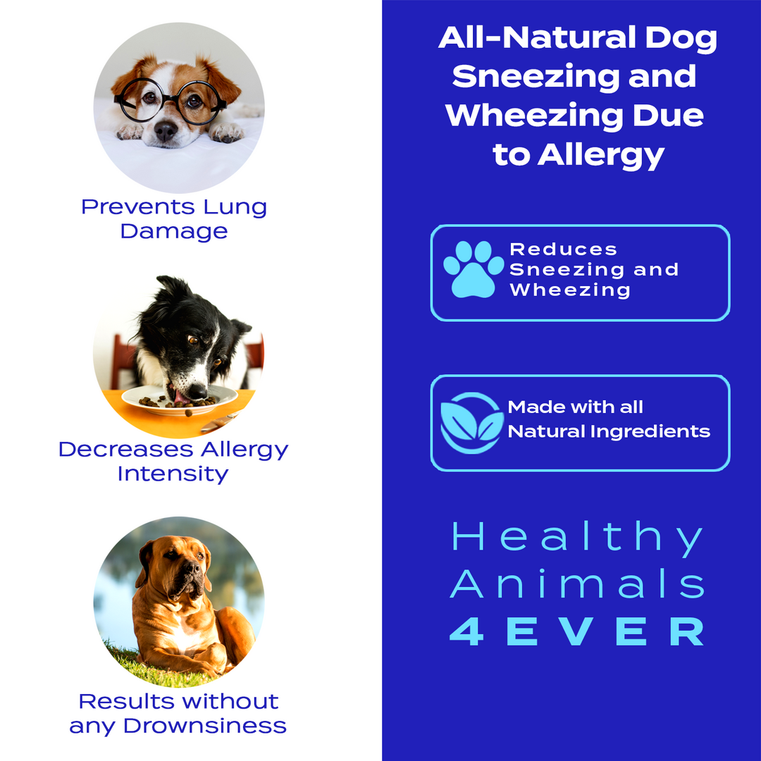 Sneezing and Wheezing Due to Allergy Formula for Dogs, 30-Day Supply