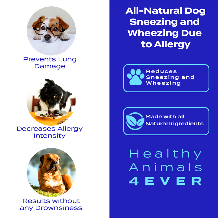 Sneezing and Wheezing Due to Allergy Formula for Dogs, 30-Day Supply