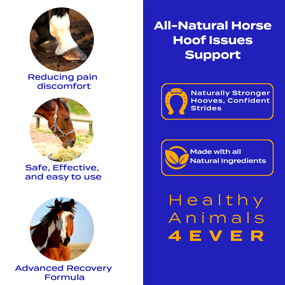 Horse Hoof Support