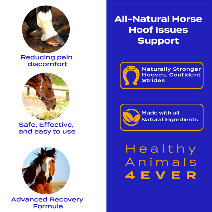 Horse Hoof Support