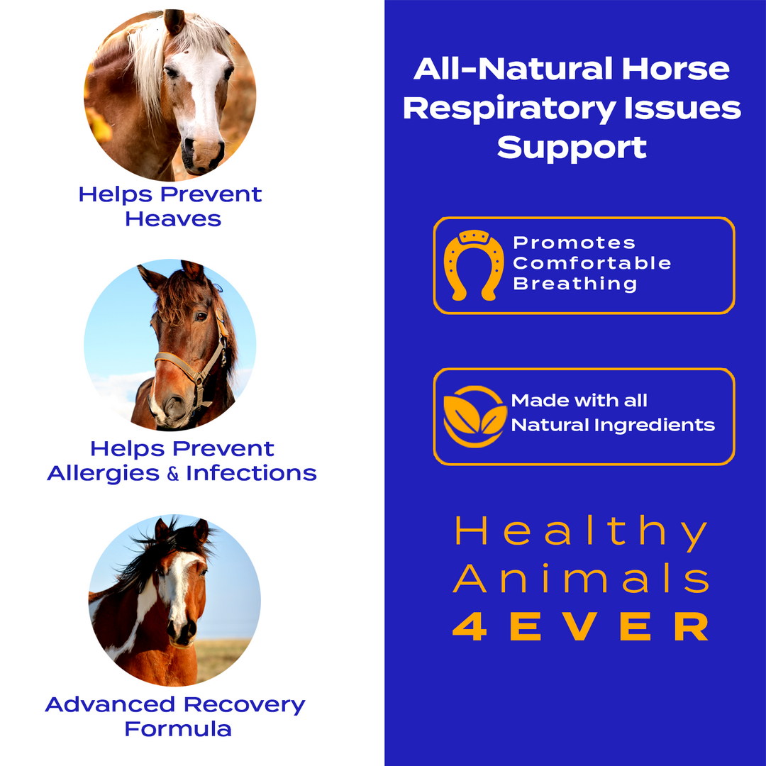 Horse Respiratory Issues Support