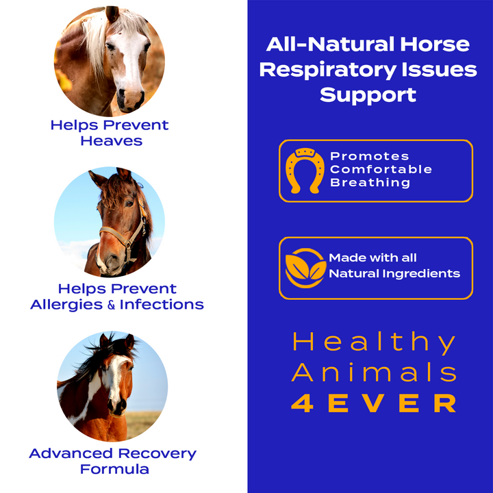Horse Respiratory Issues Support