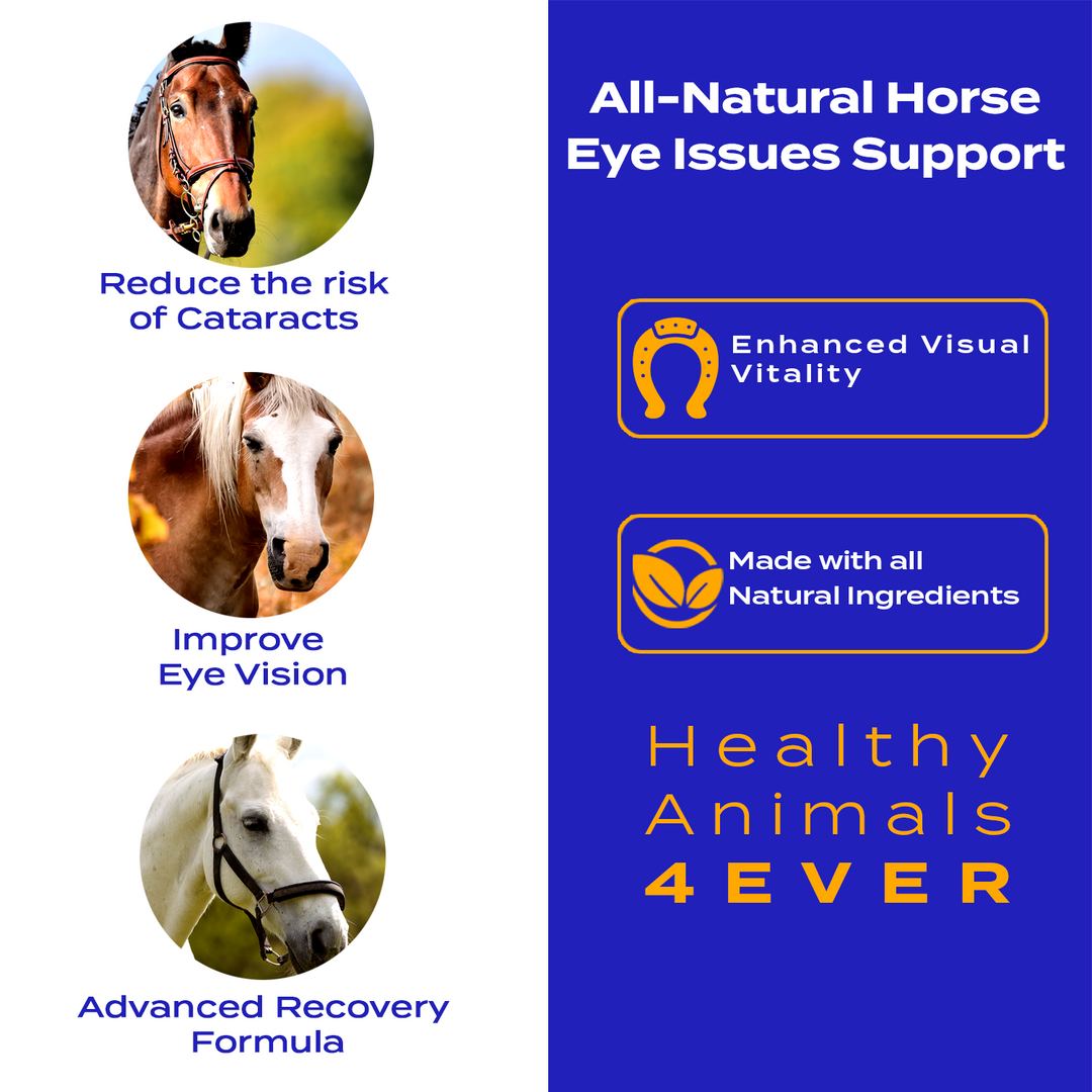 Horse Eye Health Support