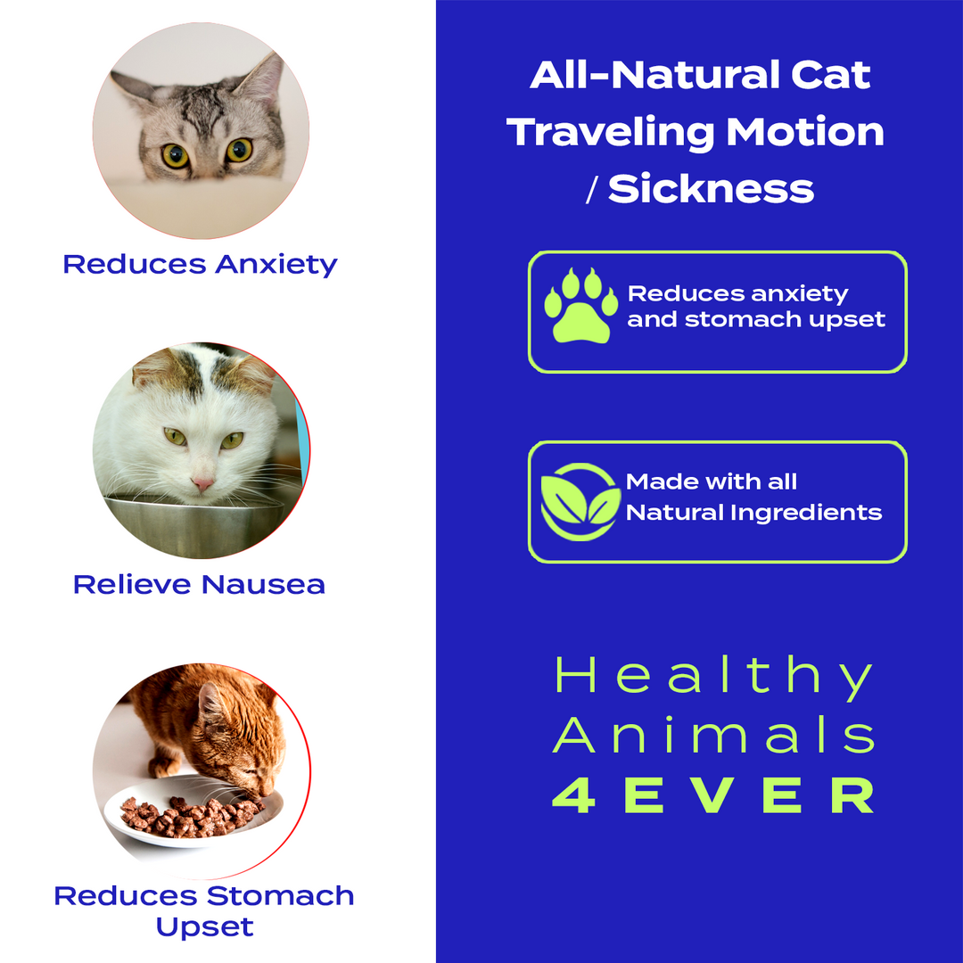 Traveling/Motion Sickness Support Formula for Cats, 30-Day Supply