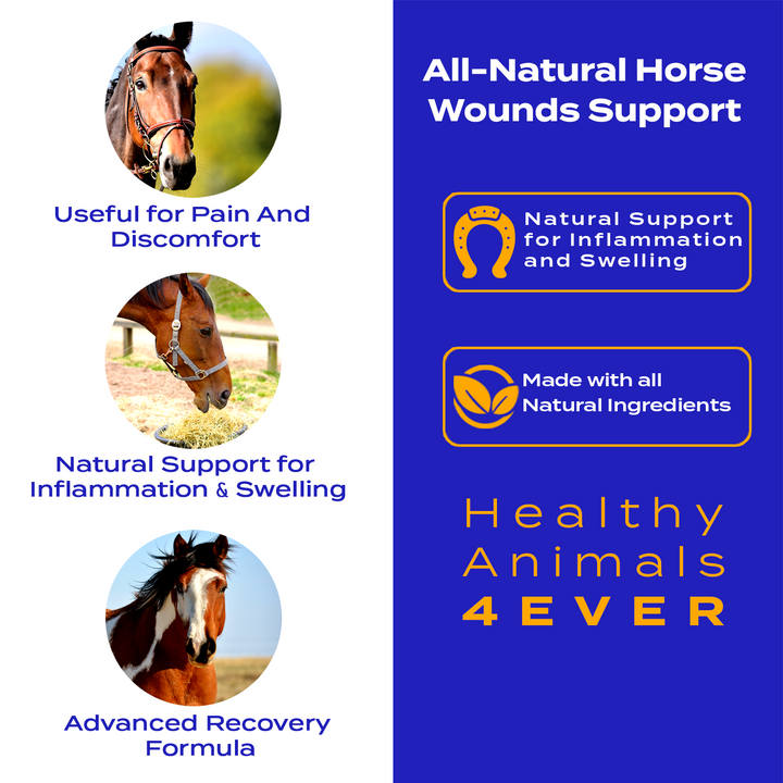 Horse Wounds Support (Liquid)
