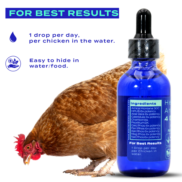 Chicken Injury Support (Liquid)