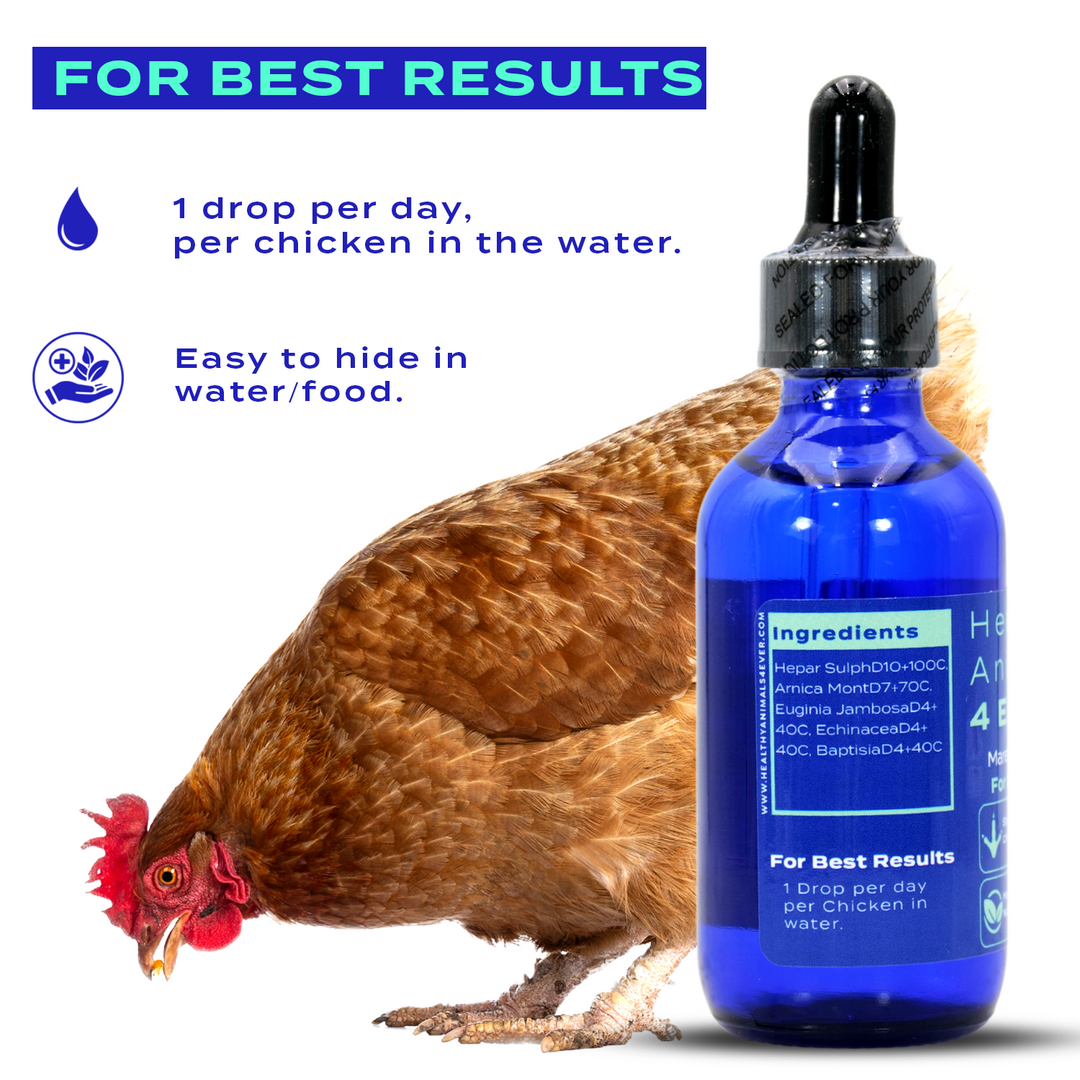 Chicken Immunity Support for Marek's Disease (Liquid)