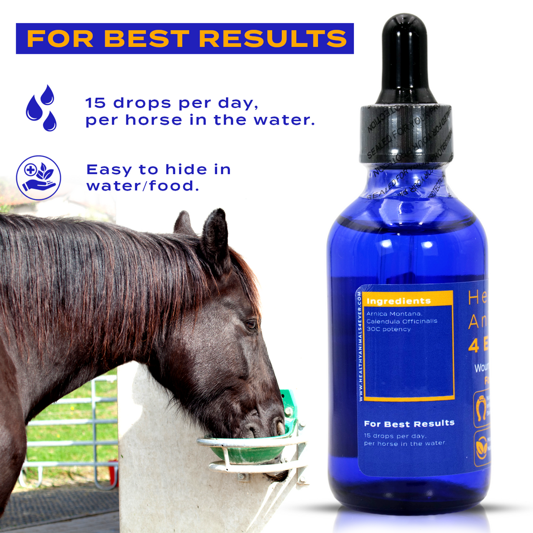 Horse Wounds Support (Liquid)