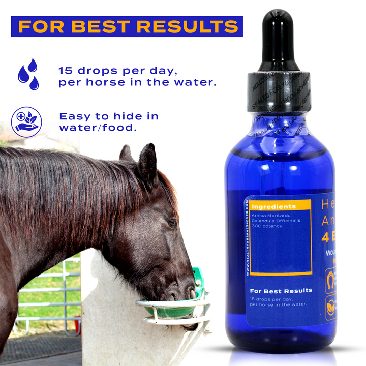 Horse Wounds Support (Liquid)