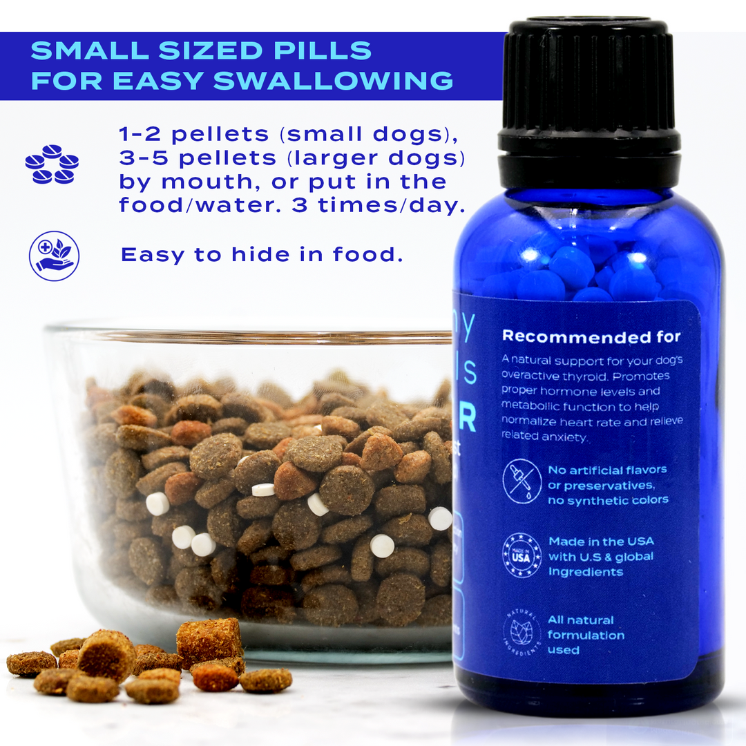 Natural Hyperthyroidism Support Formula for Dogs, 30-Day Supply