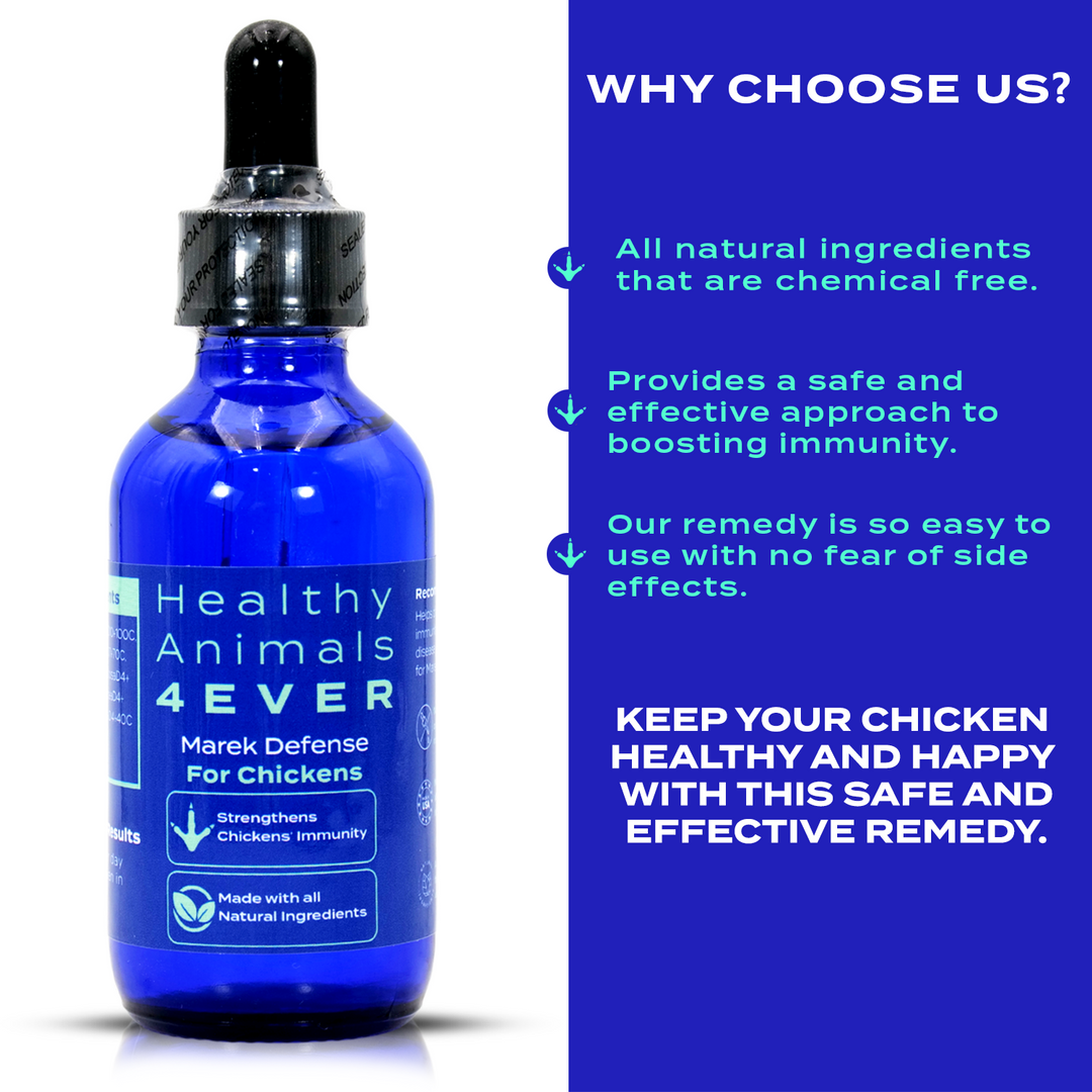 Chicken Immunity Support for Marek's Disease (Liquid)