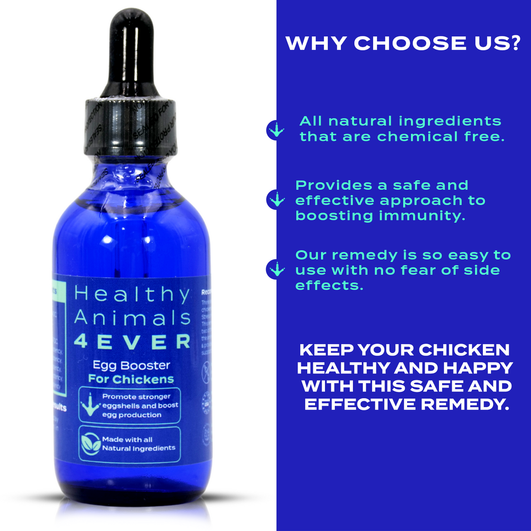 Chicken Egg Booster (Liquid)