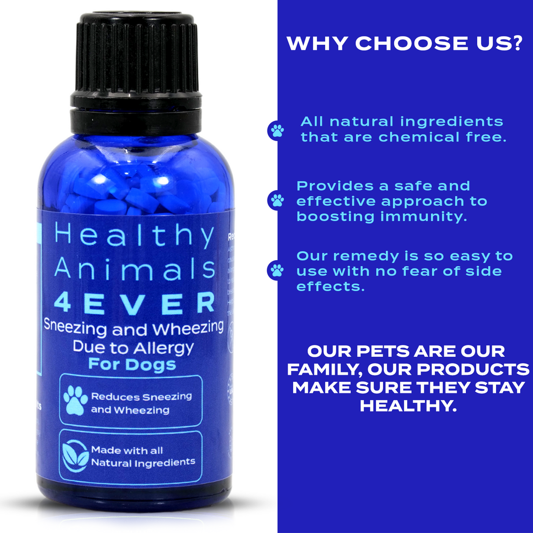 Sneezing and Wheezing Due to Allergy Formula for Dogs, 30-Day Supply