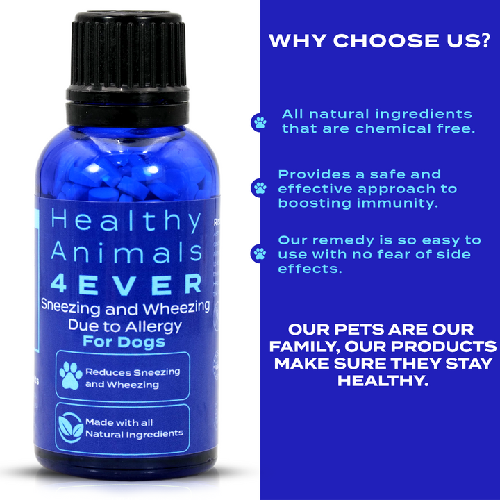 Sneezing and Wheezing Due to Allergy Formula for Dogs, 30-Day Supply