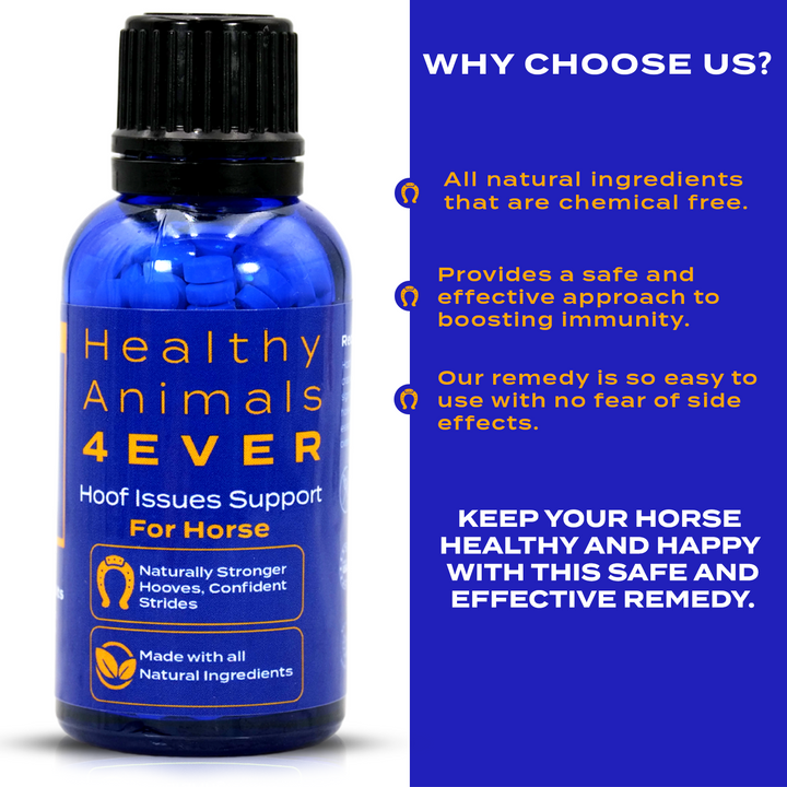 Horse Hoof Support