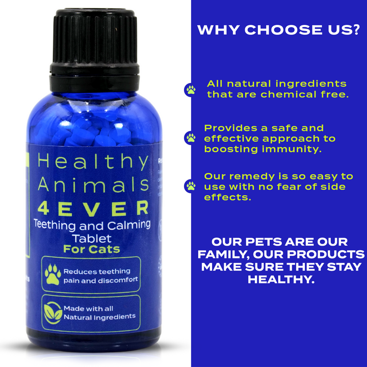 Teething Relief & Calming Formula for Cats, 30-Day Supply
