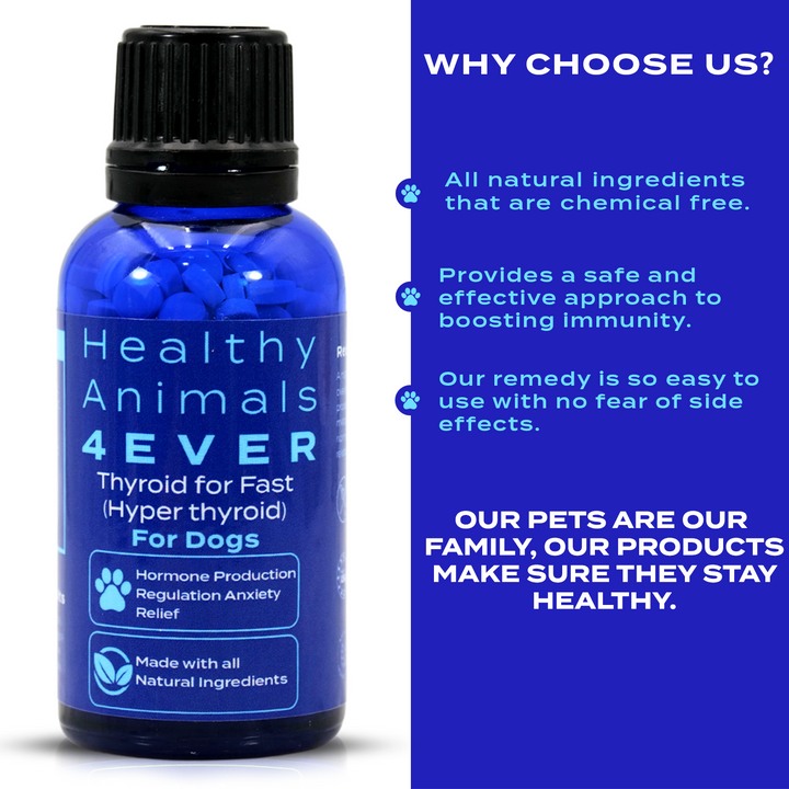 Natural Hyperthyroidism Support Formula for Dogs, 30-Day Supply