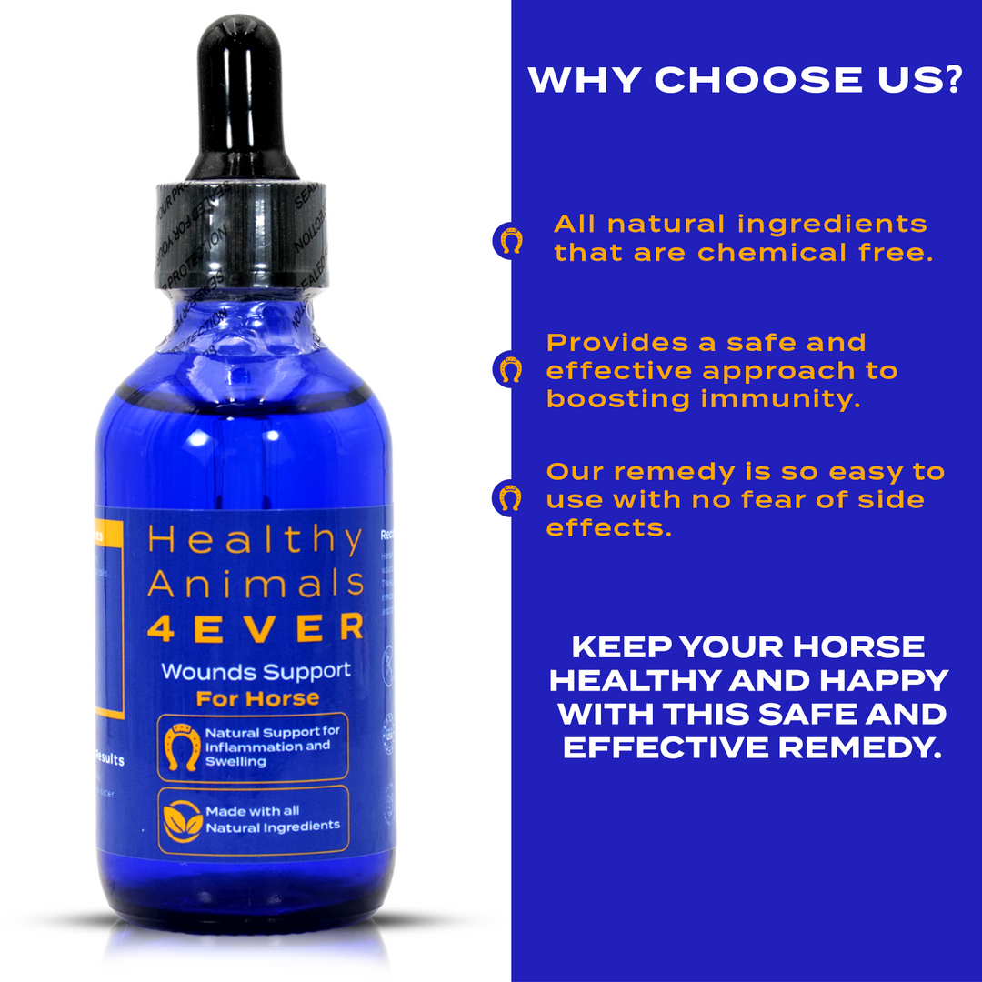 Horse Wounds Support (Liquid)