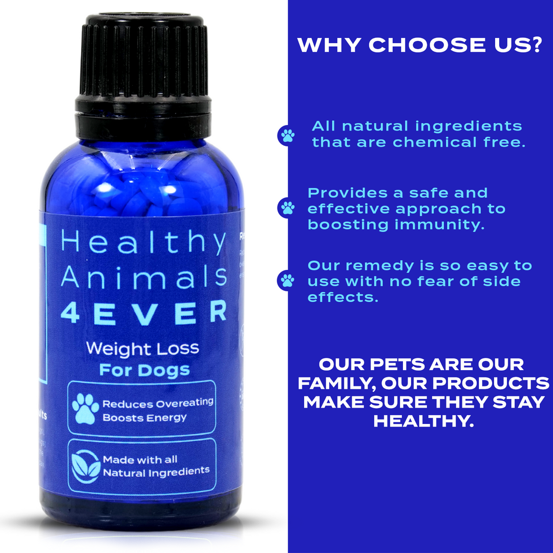 Weight Loss Formula for Dogs, 30-Day Supply