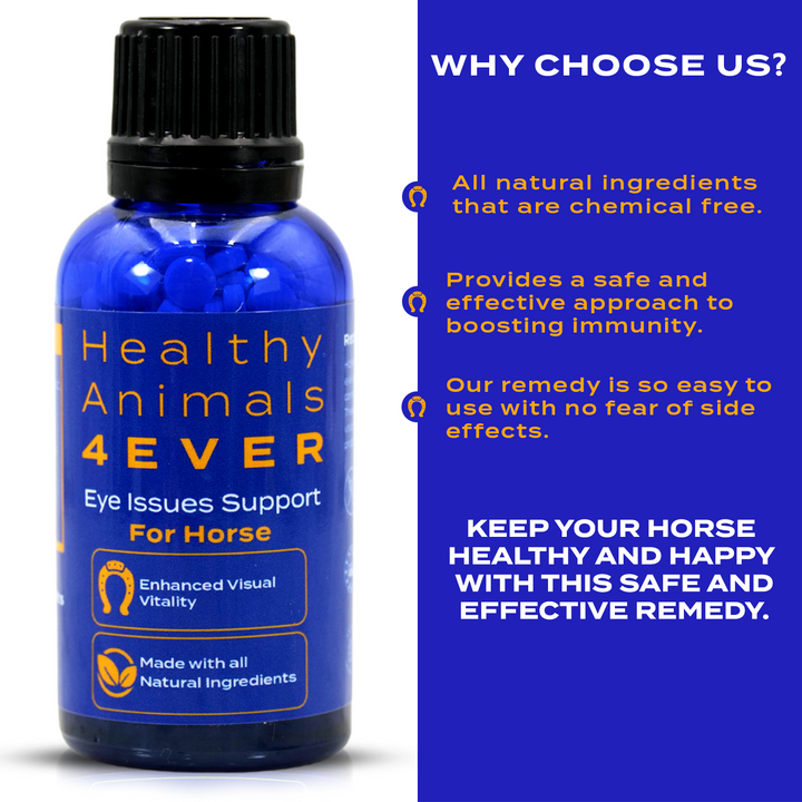 Horse Eye Health Support